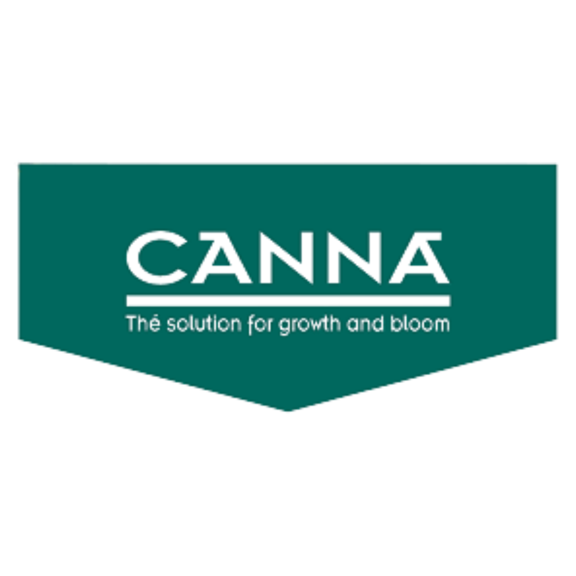 Canna